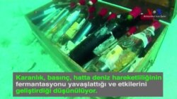 Deniz Altında Şarap Üretmek Mümkün mü?