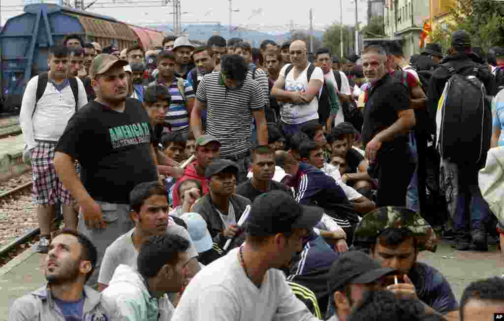 Macedonia Migrants