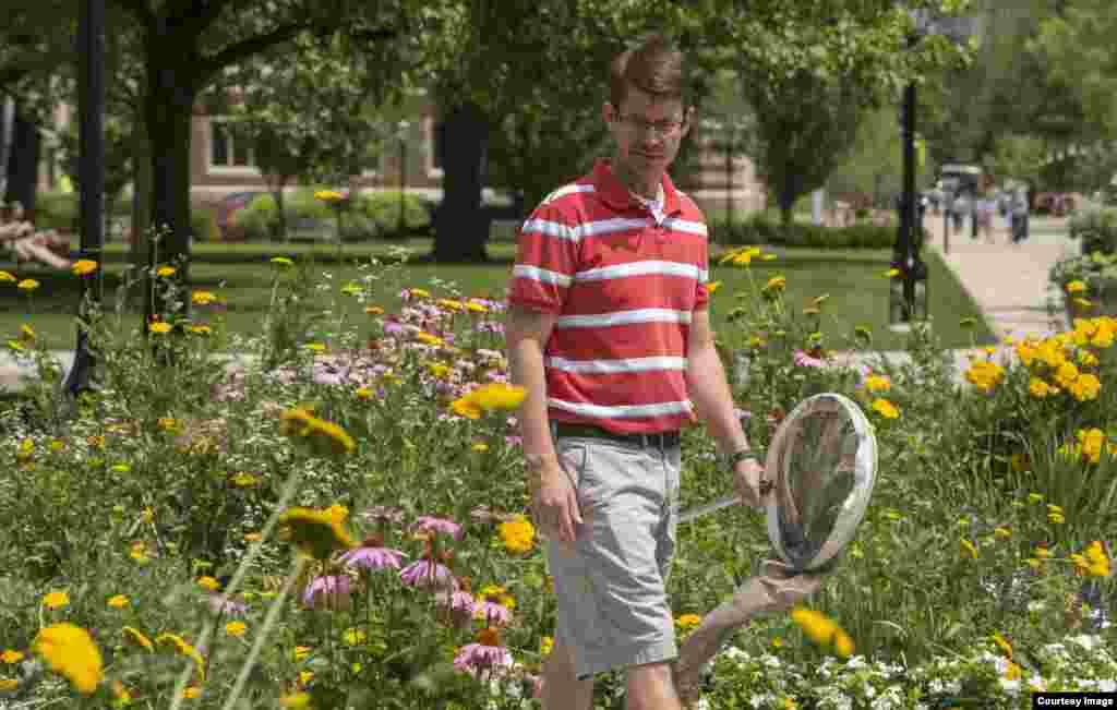 University of Chicago Assistant Professor Marcus Kronforst hunting butterflies on the university campus. (Credit: Robert Kozloff)