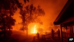 소방관들이 21일 캘리포니아주 나파 카운티에서 화재 진압 작업을 벌이고 있다. 