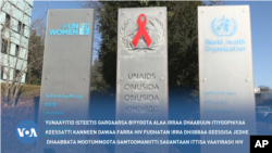 Gargaarsi Alaa Yunaayitid Isteetis Dhaabachuun Itiyoopiyaa Keessaa Kanneen Dawaa Farra HIV Fudhatan Miidhuu Mala: Tokkummaa Mootummootaa