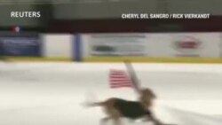 Собака на льду