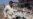 At Least 22 Killed in Iraq Attacks