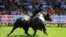 Two water buffaloes fight each other in Do Son beach town of Hai Phong, Vietnam, Sept. 28, 2017. Vietnam's water buffalo fighting festival has resumed amid calls for an end to the traditional annual event because of its violence.