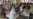 16x9 Image