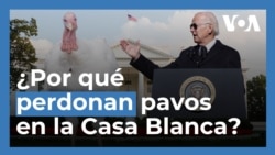 El perdón del pavo: por qué el presidente de EEUU concede este tradicional indulto