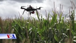 Máy bay không người lái - tương lai của ngành nông nghiệp