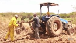 Small Scale Farmers in Kenya Turn to Mechanized Agriculture