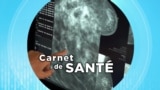 Carnet de santé : l’avenir des soins de santé et l’impact de l’Intelligence artificielle