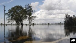 An arrow painted at the Capricorn Highway is seen under floodwaters 6km south of Rockhampton Jan 3, 2011