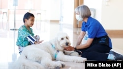 Kristin Gist and her dog Ollie are with patient Ricardo Martin, 6, at Rady Children's Hospital in San Diego, California November, 11, 2021. The hospital has eased some of its COVID-19 restrictions. (REUTERS/Mike Blake)