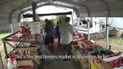 Farmer's Market