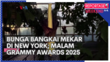 Bunga Bangkai Mekar di New York; Malam Grammy Awards 2025
