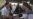 16x9 Image