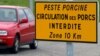 Epidémie de peste porcine dans le nord de la Côte d'Ivoire