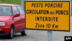 Panneau de signalisation, le 3 mai 2002, interdisant la circulation des porcs en France