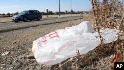 FILE - A plastic bag litters the roadside. 