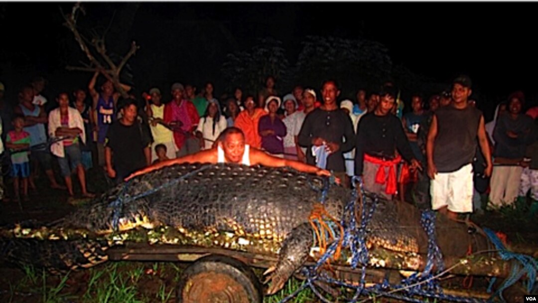 Los pobladores se mantienen en alerta por la posible presencia de otros cocodrilos gigantes en los alrededores del poblado.