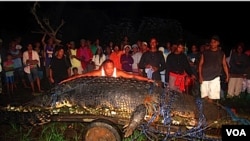 Los pobladores se mantienen en alerta por la posible presencia de otros cocodrilos gigantes en los alrededores del poblado.