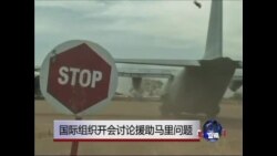 国际组织开会讨论援助马里问题