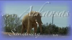 Buenos Días América 