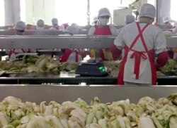 Workers prepare kimchi on the production line at the Ryugyong Kimchi Factory, outside of Pyongyang, North Korea, Dec. 20, 2017. Using a strategy known as “byungjin,” Kim intends to simultaneously develop the national economy and North Korea’s.