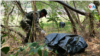 Fundación Arias señala a Ejército de Nicaragua en presunto tráfico de migrantes