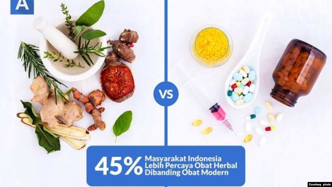 Tanaman obat dibanding obat modern (foto: courtesy).