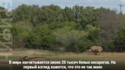 Надежда есть!