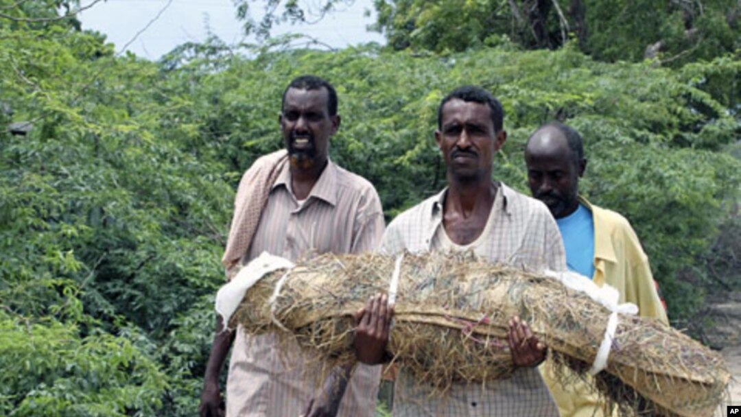 Wani mutum dauke da gawar danshi da ya mutu sakamakon karancin abinci a Somaliya.