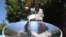 The photo is of SunFire's solar energy expert, Zander van Manen, cooking on a parabolic solar dish, Johannesburg, South Africa. (Darren Taylor/VOA)