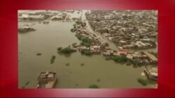 د ډیوه د روانو چارو خپرونه په ټي وي
