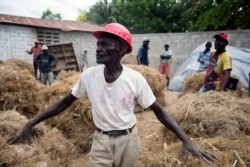 Clerme Elmacide stands amid bales of vetiver roots at a plant in Les Cayes, Haiti.