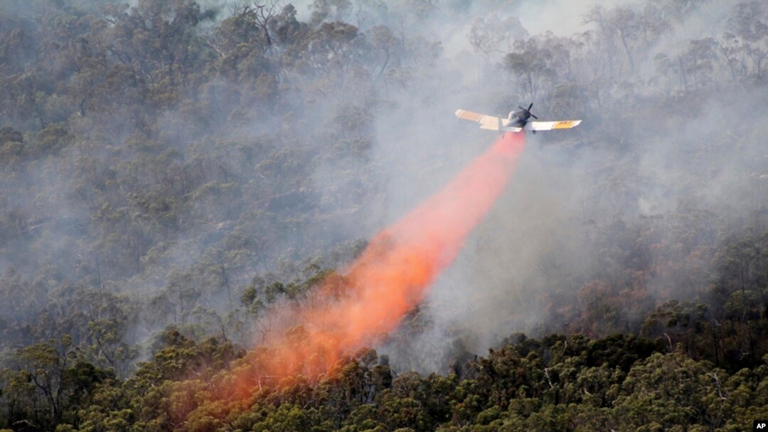 Kebakaran hutan di negara bagian Victoria, Australia.