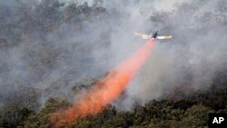 Kebakaran hutan di negara bagian Victoria, Australia.