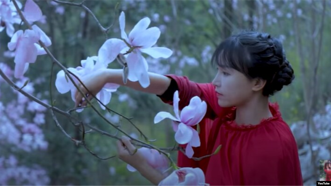 Li Ziqi, shown here in one of her YouTube videos, is one of China's most popular vloggers.