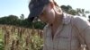 WATCH: Sea Level Rise Threatens Inland Farms Around the World
