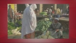 د ډیوه د روانو چارو خپرونه په ټي وي
