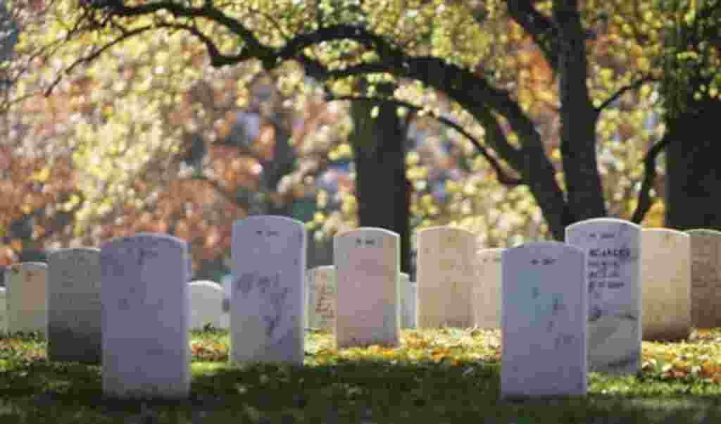Conmemoración del Día de los Veteranos en el Cementerio Nacional de Arlington, Virginia.