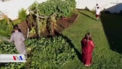 Penaberên li Australya li Hêvîya Xanîyekî Mayînde Ne