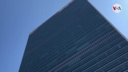 ONU: Expone en el pleno situación de los paises de la región.