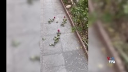 قرار دادن شاخه‌های گل در محل کشتار معترضان؛ ولنتاین متفاوت امسال در ایران