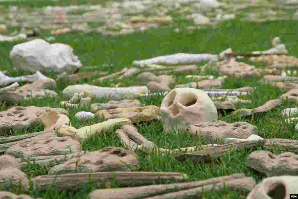 Artificial bones displayed at &quot;One Million Bones&quot; installation on the National Mall, Washington, D.C., June 8, 2013. (Jill Craig/VOA)