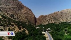 سەرتەکی بەمۆ و باخە هەنجیرەکانی