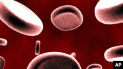 คอมพิวเตอร์วิเคราะห์ทางพยาธิวิทยาตัวอย่างเซลมะเร็งบนแผ่นสไลด์