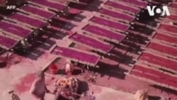 Չինաստան. Բուրավետ փայտիկների արտադրամասում