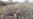 Government: At Least 26 Dead, Hospitalized in Mexico Shootout