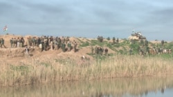 Related video of airstikes on Kirkuk, Kurdish Peshmerga forces