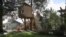 Tree Houses - A Branch of American Dream
