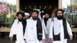တာလီဘန် ၂၀၀၀ ကျော် တပတ်အတွင်းသေဆုံး